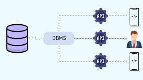 Database Management Systems – A Complete Overview