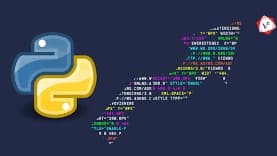 Python Programming – Why It Is So Popular